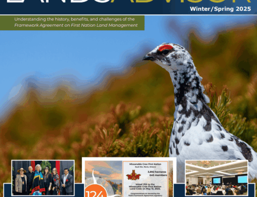 THE LANDS ADVISOR Winter/Spring 2025 Edition