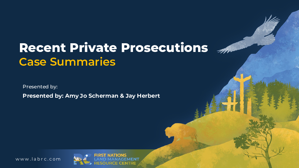 Case Summaries