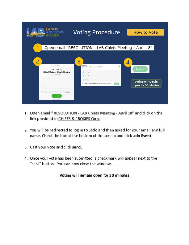 HANDOUT - Slido Voting Procedures