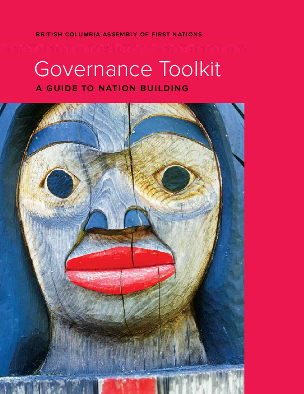 BCAFN Governance Toolkit - Part 1 - The Governance Report